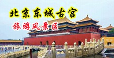 男生爱看的免费污污视频中国北京-东城古宫旅游风景区